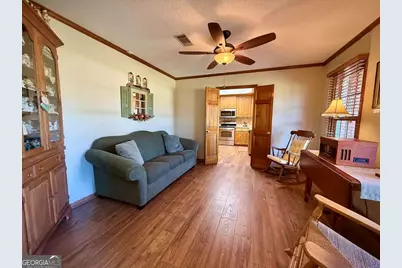 393 Douglas Highway, Hazlehurst, GA 31539 - Photo 31