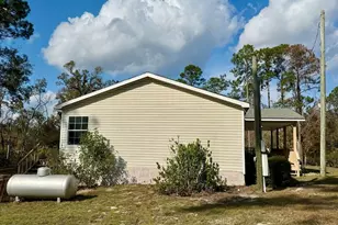 99 Joe Hester, Hazlehurst, GA 31539 - Photo 33