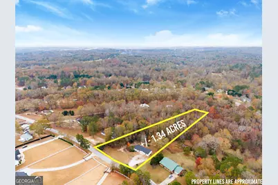 1384 Pocket Road, Braselton, GA 30517 - Photo 45