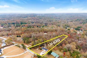 1384 Pocket Rd, Braselton, GA 30517 - Photo 45