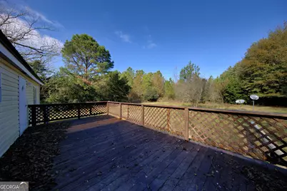 4702 Ga Highway 65, Pelham, GA 31779 - Photo 19
