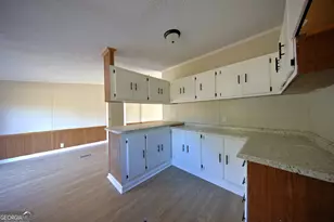 4702 Ga Hwy 65, Pelham, GA 31779 - Photo 9