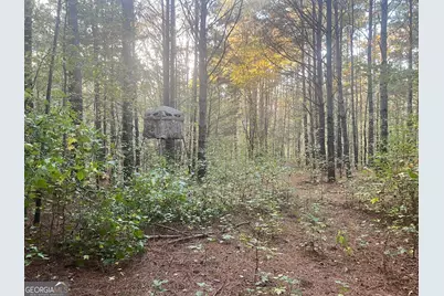 125 Karen Drive, McDonough, GA 30252 - Photo 23