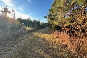 125 Karen Dr, McDonough, GA 30252 - Photo 7