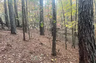 125 Karen Dr, McDonough, GA 30252 - Photo 25