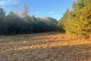 125 Karen Dr, McDonough, GA 30252 - Photo 13