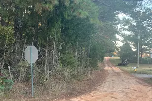 125 Karen Dr, McDonough, GA 30252 - Photo 53