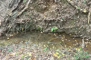 125 Karen Dr, McDonough, GA 30252 - Photo 31