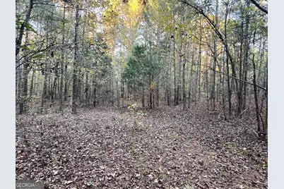 125 Karen Drive, McDonough, GA 30252 - Photo 41