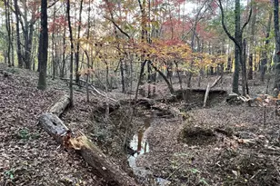 125 Karen Dr, McDonough, GA 30252 - Photo 33