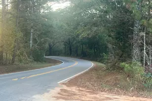 125 Karen Dr, McDonough, GA 30252 - Photo 59