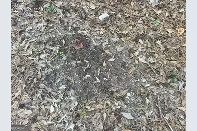 125 Karen Drive, McDonough, GA 30252 - Photo 19