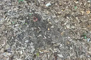 125 Karen Dr, McDonough, GA 30252 - Photo 19