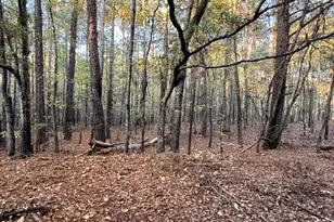 125 Karen Dr, McDonough, GA 30252 - Photo 45