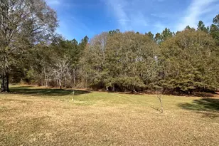 1044 Sardis Rd, Rayle, GA 30660 - Photo 49