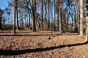 8121 Heardsville Cir, Cumming, GA 30028 - Photo 1