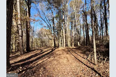 8121 Heardsville Circle, Cumming, GA 30028 - Photo 3