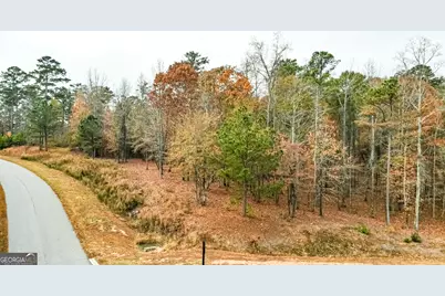 0 Alston Point #LOT 410/411, Newnan, GA 30263 - Photo 3