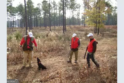 0 Alston Point #LOT 410/411, Newnan, GA 30263 - Photo 13