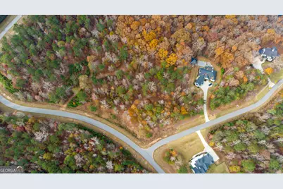 0 Alston Point #LOT 410/411, Newnan, GA 30263 - Photo 1