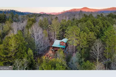 239 Ernest Alta Circle, Blue Ridge, GA 30513 - Photo 53