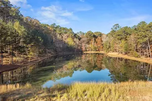 1800 Osprey Poynte, Greensboro, GA 30642 - Photo 65