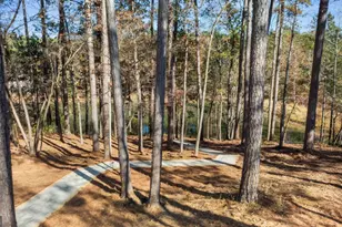 1800 Osprey Poynte, Greensboro, GA 30642 - Photo 63