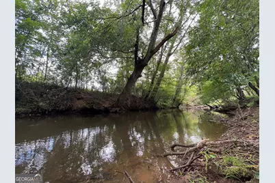 0 McCarty Dodd Road, Colbert, GA 30628 - Photo 5