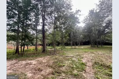 0 McCarty Dodd Road, Colbert, GA 30628 - Photo 7