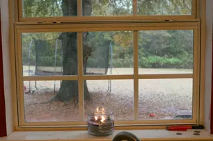 1145 Larkspur Dr, Locust Grove, GA 30248 - Photo 19