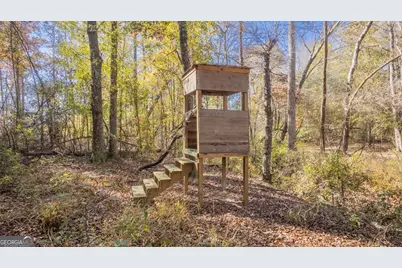 2717 Mount Pilgrim Road, Greenville, GA 30222 - Photo 59