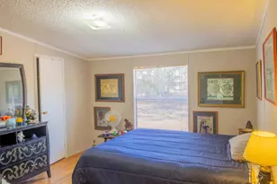 2717 Mount Pilgrim Rd, Greenville, GA 30222 - Photo 29