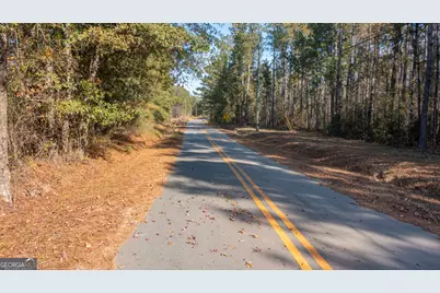 2717 Mount Pilgrim Road, Greenville, GA 30222 - Photo 65