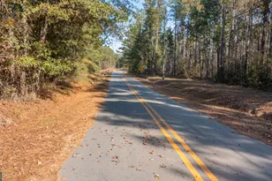 2717 Mount Pilgrim Rd, Greenville, GA 30222 - Photo 65