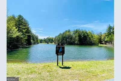 200 Lookiba Lane, Ellijay, GA 30540 - Photo 51