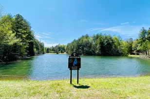 200 Lookiba Ln, Ellijay, GA 30540 - Photo 51