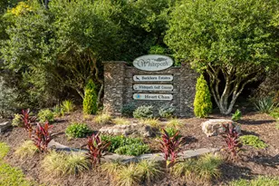 200 Lookiba Ln, Ellijay, GA 30540 - Photo 45