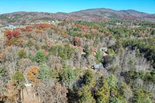 518 Rizzitello Ln, Blairsville, GA 30512 - Photo 41