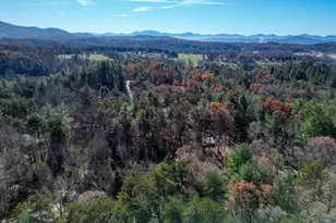 518 Rizzitello Ln, Blairsville, GA 30512 - Photo 43