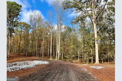 4023 Jersey Covington Road, Covington, GA 30014 - Photo 3