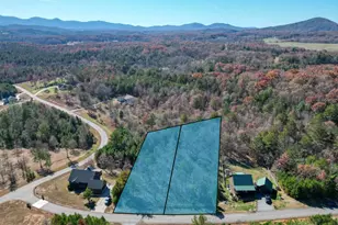 Lts 52 and 53 Village Loop, Blairsville, GA 30512 - Photo 1