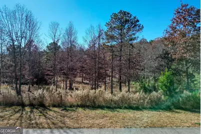 Lts 52 and 53 Village Loop, Blairsville, GA 30512 - Photo 3