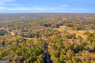 395 Barnetts Bridge Rd, Jackson, GA 30233 - Photo 77