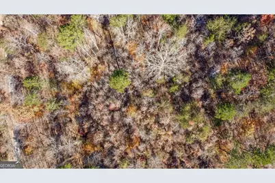 0 Auraria Road, Dawsonville, GA 30534 - Photo 15