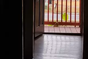 6570 Rivertown Rd, Fairburn, GA 30213 - Photo 29