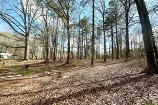 1836 Pinecrest Dr, Griffin, GA 30223 - Photo 59