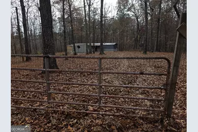 650 Wildcat Road, Buchanan, GA 30113 - Photo 1