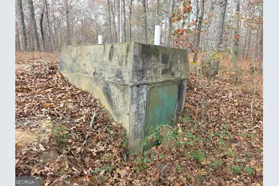 650 Wildcat Road, Buchanan, GA 30113 - Photo 19