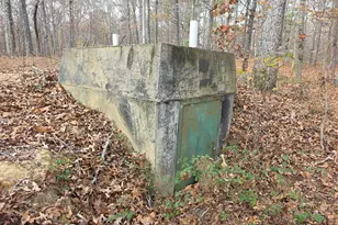 650 Wildcat Rd, Buchanan, GA 30113 - Photo 19