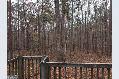 650 Wildcat Road, Buchanan, GA 30113 - Photo 25